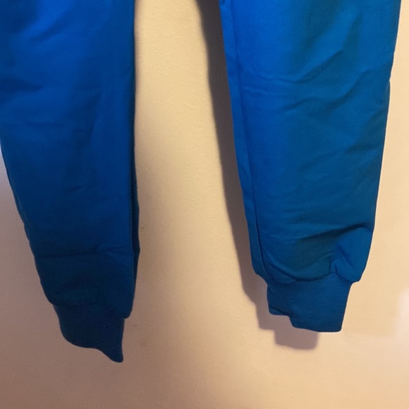 Alps Blue Figs- Tansen Jogger size S Tall - Picture 2 of 5